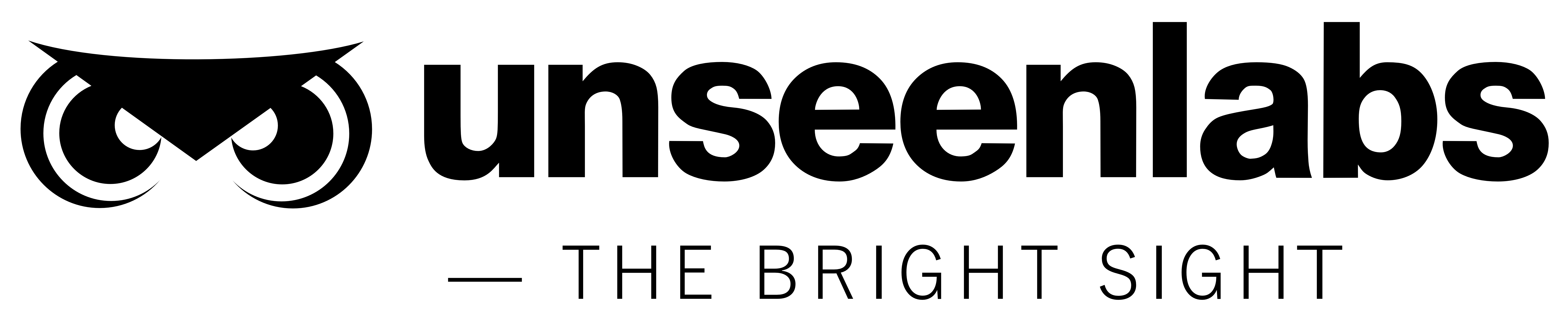 Logo Bright Sight Noir-3